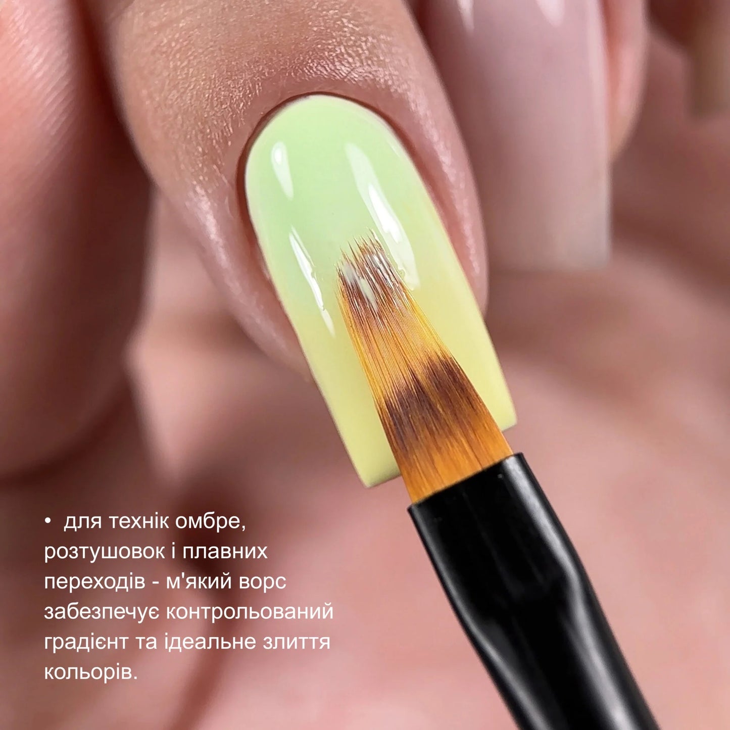BIBLIOTEKA Brush #ombre, 12 mm